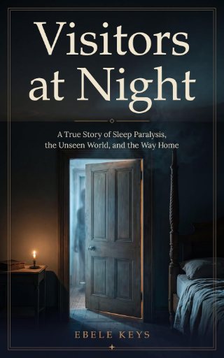 Visitors at Night book cover